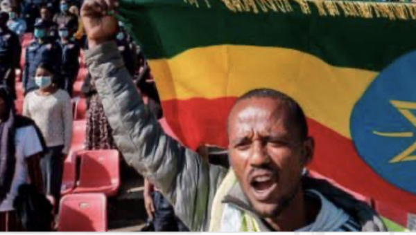 Towards understanding the roles of the deep state and external actors in the conflict in Tigray, Ethiopia